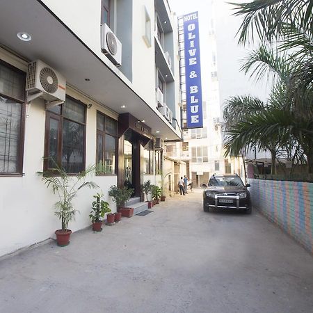 Hotel Olive & Blue - Govt Approved Hotel Near Delhi Airport New Delhi Exteriör bild