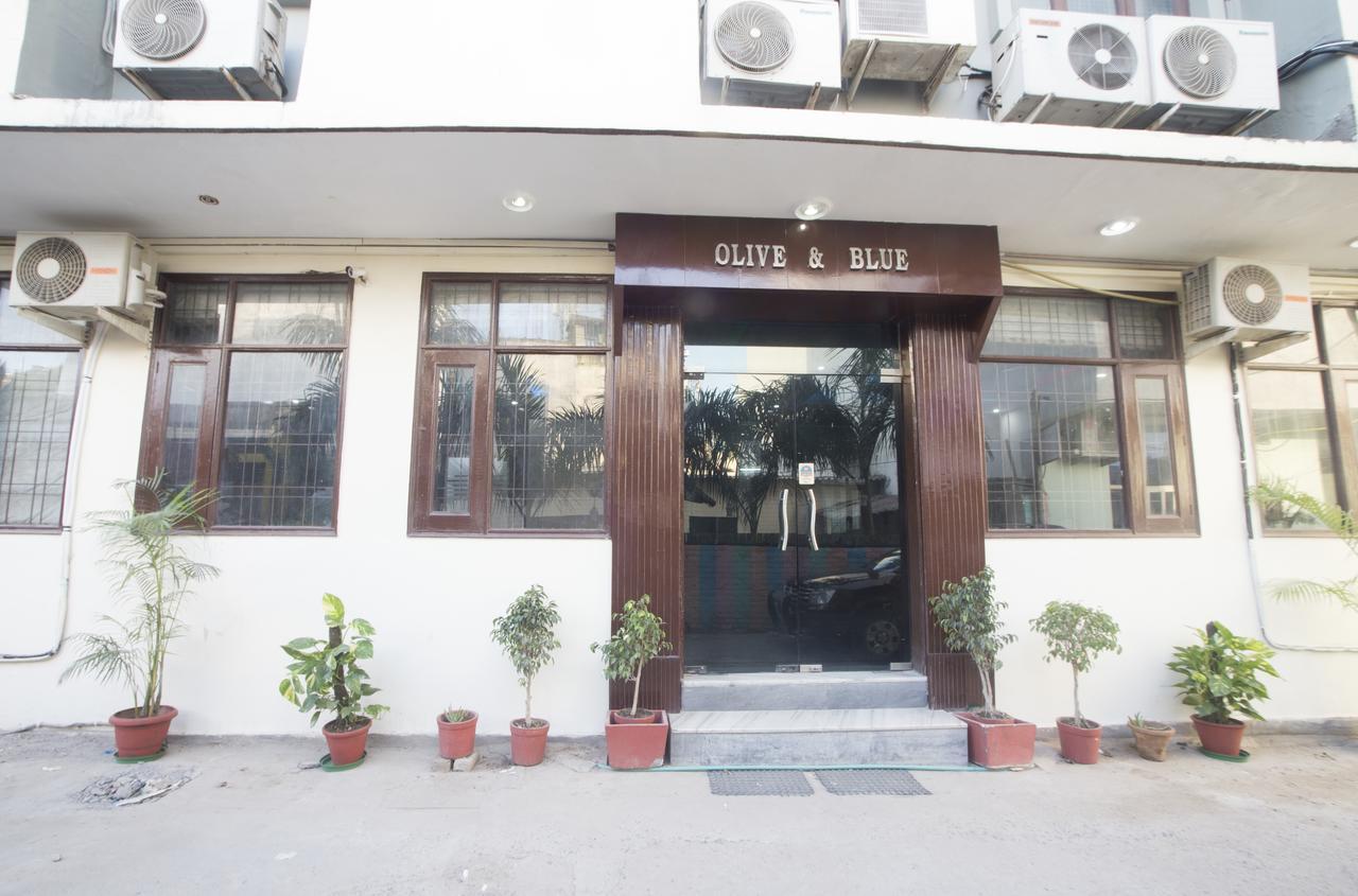 Hotel Olive & Blue - Govt Approved Hotel Near Delhi Airport New Delhi Exteriör bild